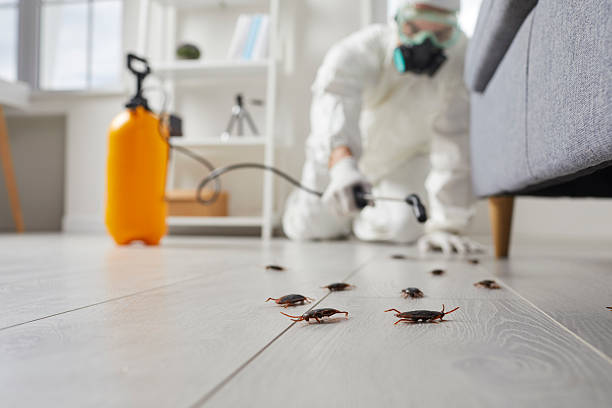 Trusted Fumigation Services service in Merryville, LA - Nex Pest Control