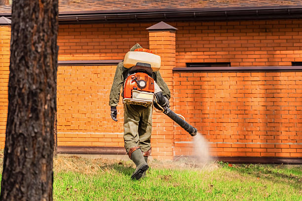 Trusted Bed Bug Control service in Merryville, LA - Nex Pest Control